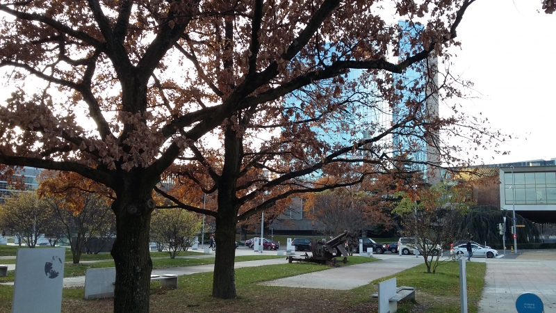 WIPO main building, November 2017, picture Joanna Bazán Babczonek